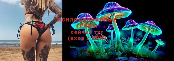 2c-b Бородино