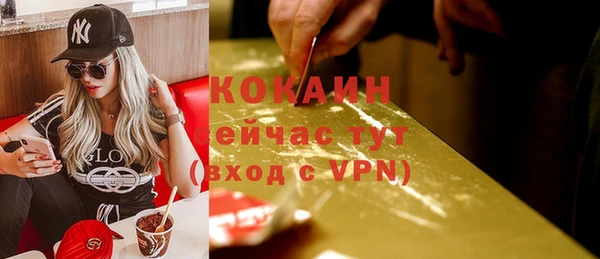 тгк Бронницы