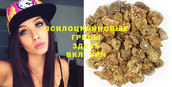 тгк Бронницы