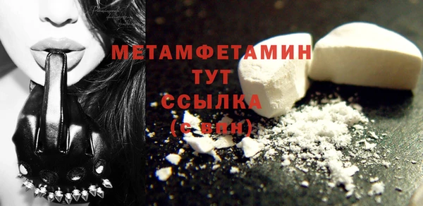гидра Покачи