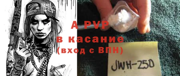 2c-b Бородино