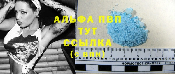 ГАЛЛЮЦИНОГЕННЫЕ ГРИБЫ Покровск