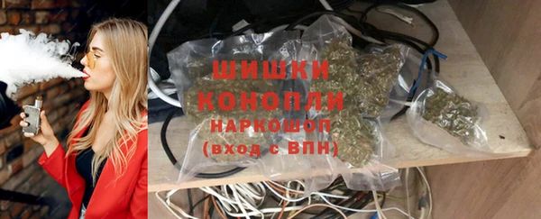 тгк Бронницы